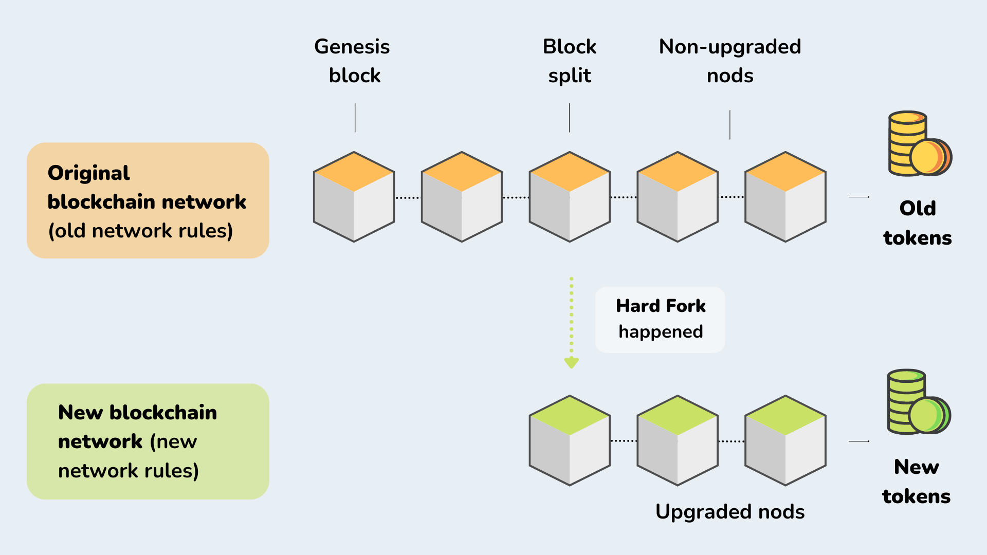 Visual example of the Hard Fork process in the blockchain network.